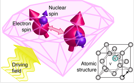 Electron and nuclear spins associated with a diamond defect