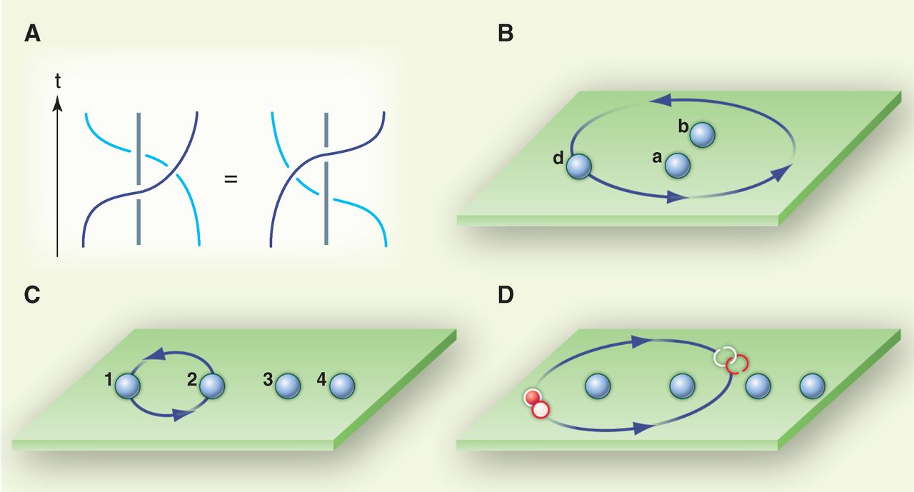 Conceptual particle braid